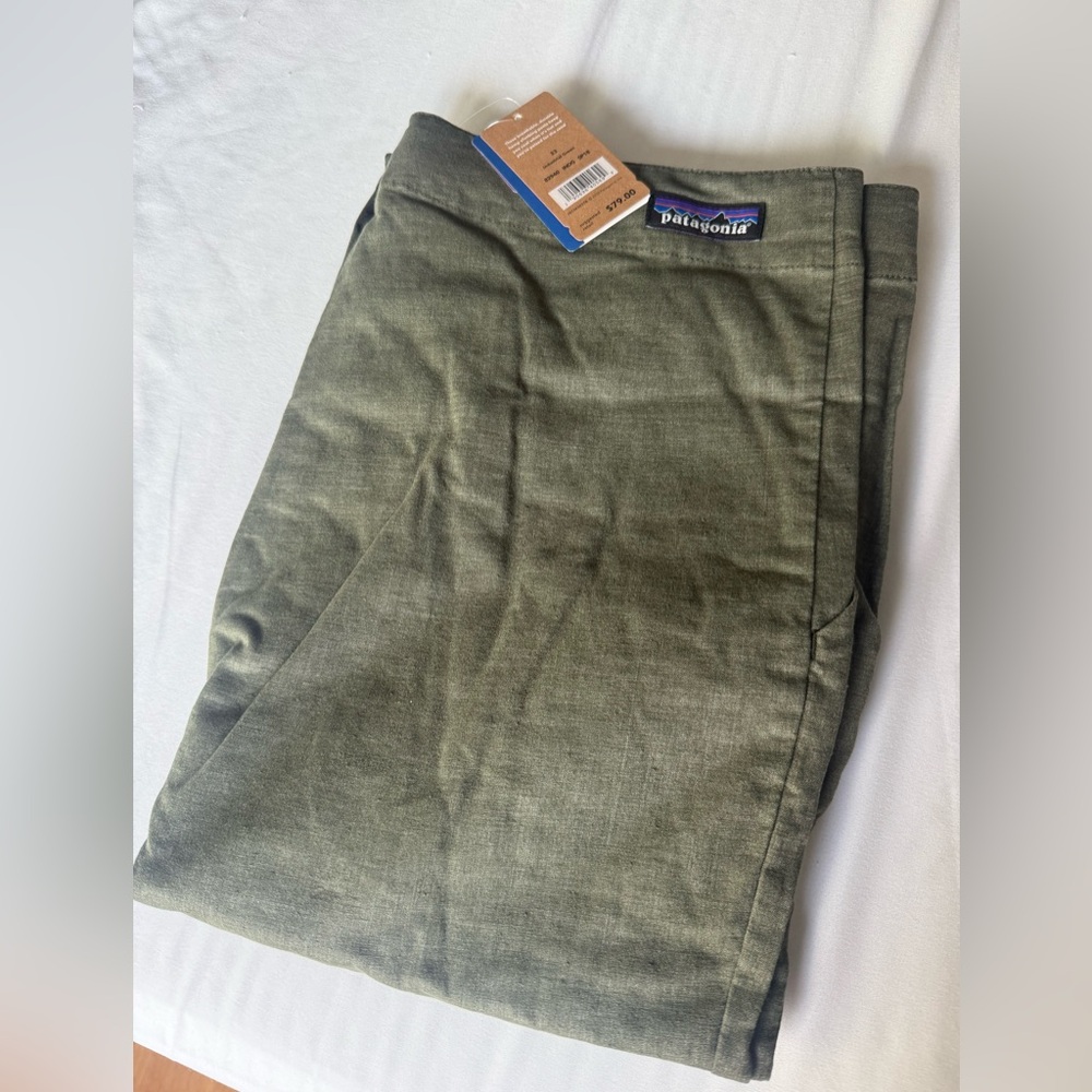 Patagonia Hampi Rock Pants men’s 33